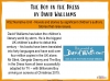 The Boy in the Dress by David Walliams Teaching Resources (slide 2/133)